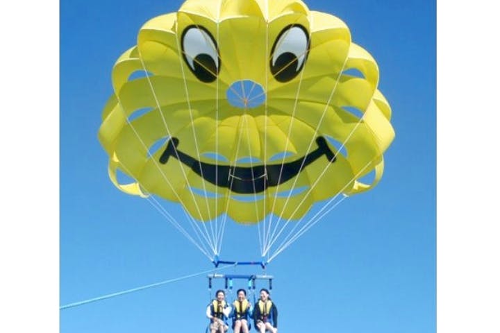 ブルーシーサー