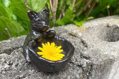 【大阪・堺・手びねり体験】１時間コース／泉北の高台にある陶芸教室でゆったり陶芸を楽しみませんか♪ご入会で体験料金キャッシュバック！！