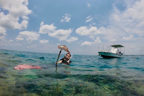 【貸切船・石垣島・魚突き体験シュノーケリング】憧れの「獲ったどぉ～！」を体験しよう