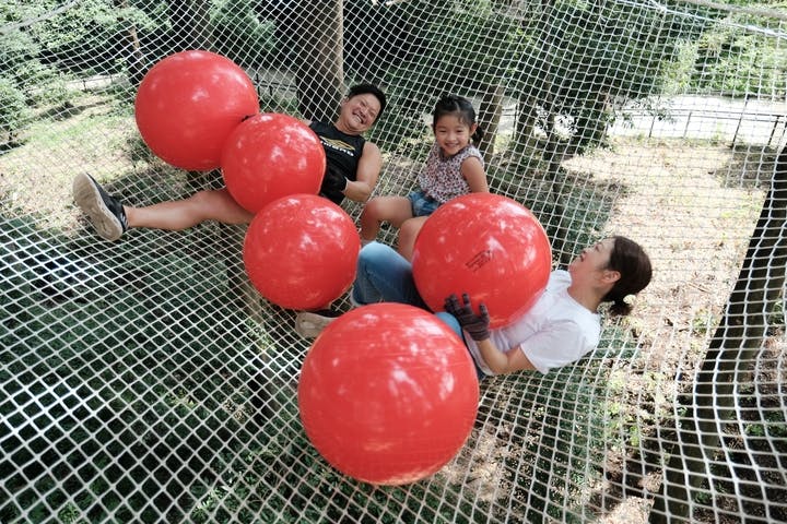 フォレストアドベンチャー・よこはま