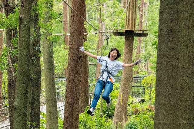 【神奈川・横浜・フォレストアドベンチャー】ダイナミックでスリリングな樹上体験を！