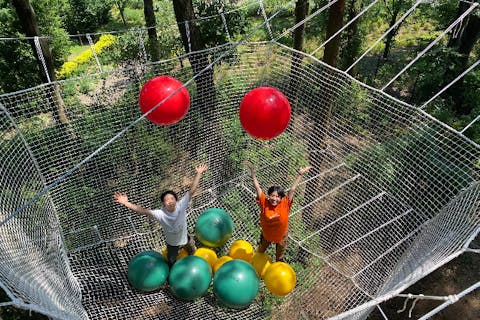 【神奈川・横浜・フォレストアドベンチャー】樹上に設置されたネットの中を自由に