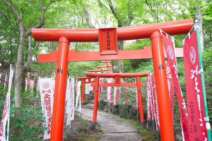 Fukuokaunico 歩クルーズ（フクオカユニコ アルクルーズ）