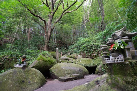 【福岡・太宰府・ガイドツアー】お得な、小・中学生グループプラン！太宰府を歩きながら歴史を学ぼう
