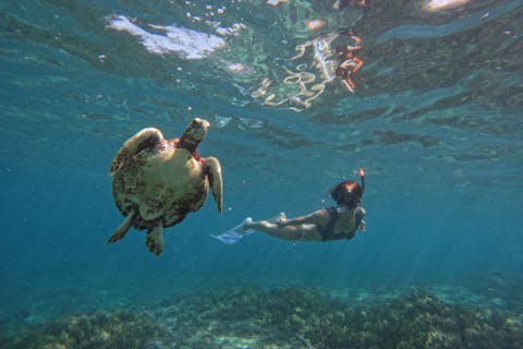 【沖縄・伊良部島・シュノーケリング、スキンダイビング】ボートで行く青の洞窟、海亀ツアー