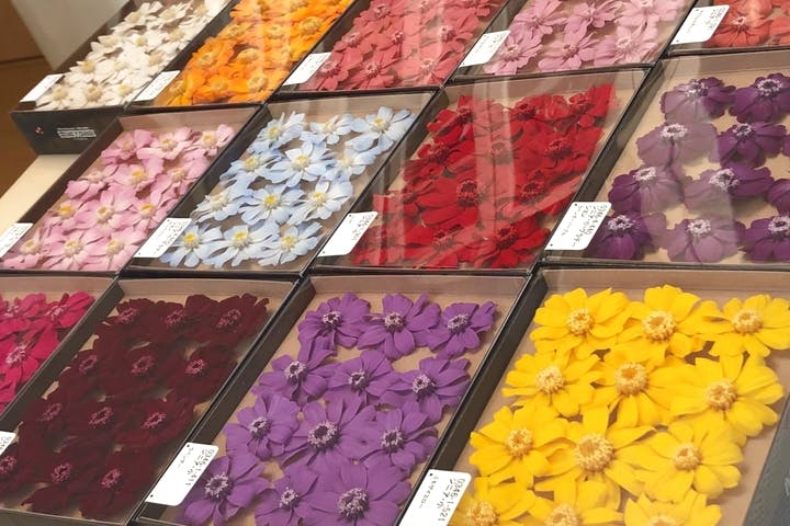 プアカフェローズ