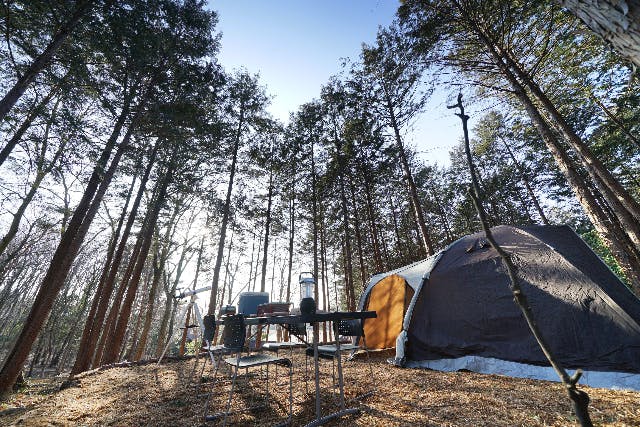 【栃木・佐野・キャンプ場】街の近くでキャンプと自然を満喫！キャンプ区画・中エリア