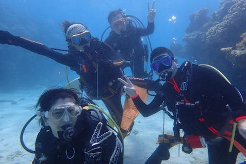 【沖縄・北谷・ファンダイビング】フル器材レンタル込み！2ビーチファンダイビング