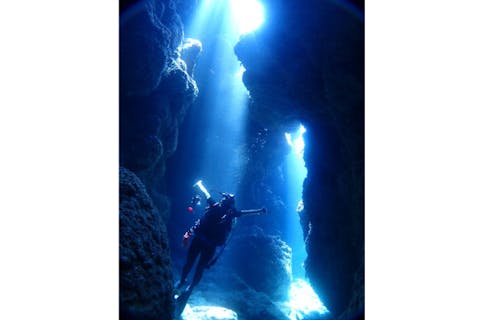 【沖縄・北谷・ファンダイビング】フル器材レンタル込み！沖縄満喫・2ボートファンダイビング