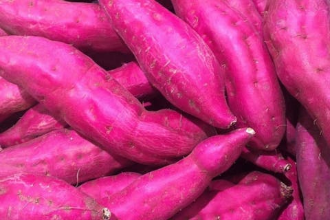 【埼玉県・さいたま市・ 芋掘り】お子さま連れにもおススメ！さつまいも収穫体験