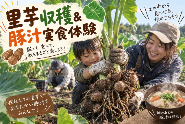【埼玉・さいたま市／里芋収穫】掘って食べる！あたたかい豚汁実食体験（約2時間）