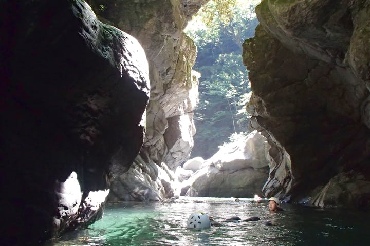 ワイルドウインド