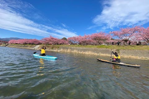 【静岡・河津・SUP＆テントサウナ】河津桜をSUPで花見体験！水面から見上げ、流れに揺られる贅沢な体験！お子様＆ワンちゃんOK
