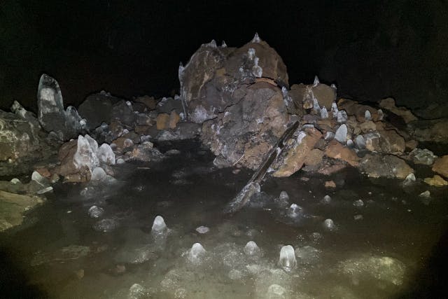 【山梨・鳴沢・ガイドツアー・9:00／14:00開催】自然が造る神秘の世界！富士樹海探索＆氷の世界洞窟探検