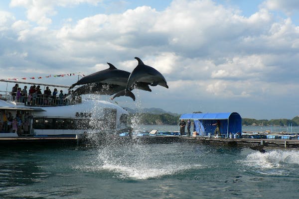 和歌山・那智勝浦・遊覧船】土日祝はイルカに会えることも！絶景を巡る