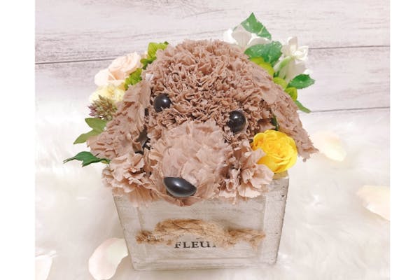 千葉・柏・プリザーブドフラワー】カーネーションでフラワーペットを作