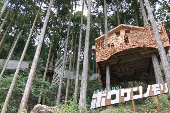 ボウケンノモリささぐり