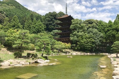 新版 山口県・山口市・伝統工芸】800年以上の歴史をもつ徳地手すき その他
