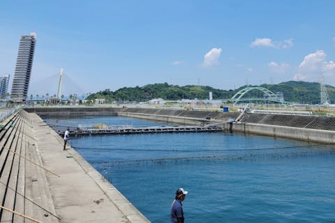 和歌山の遊園地 テーマパーク 公園 一覧 遊び予約 レジャークーポン アソビュー