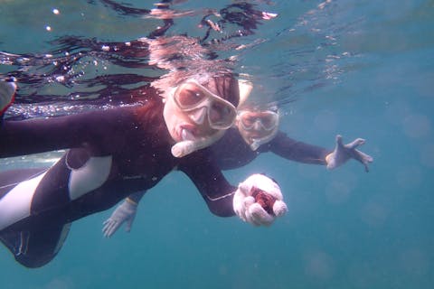 【三重・志摩船越・シュノーケリング】水中写真プレゼント☆無人島でシュノーケリングを楽しもう！