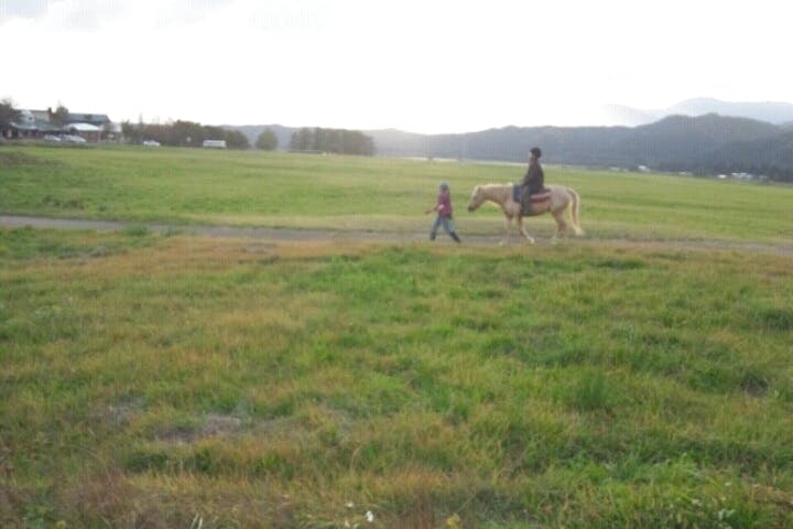 わくわくファーム前森高原