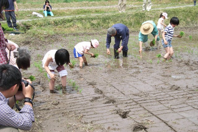 【宮城・南三陸・グリーンツーリズム】喧騒を離れ大自然を堪能！季節の野菜収穫体験