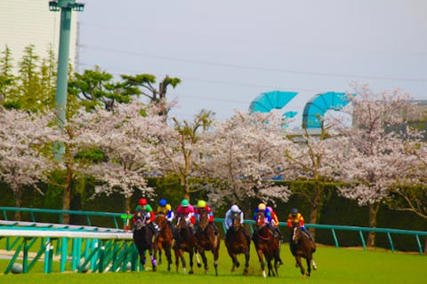 【兵庫・宝塚・ガイドツアー】伝説の予想士と巡る阪神競馬場ツアー！競馬の仕組みから施設案内まで、最後はみんなでレース予想！
