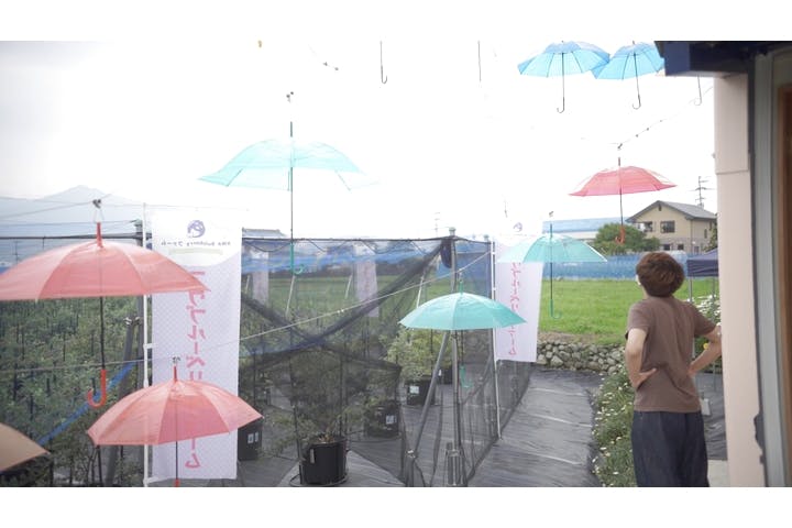 AWA Blueberryファーム