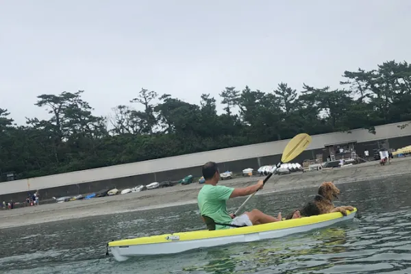神奈川・葉山・シーカヤック】一色海岸をクルージング！シットオン 