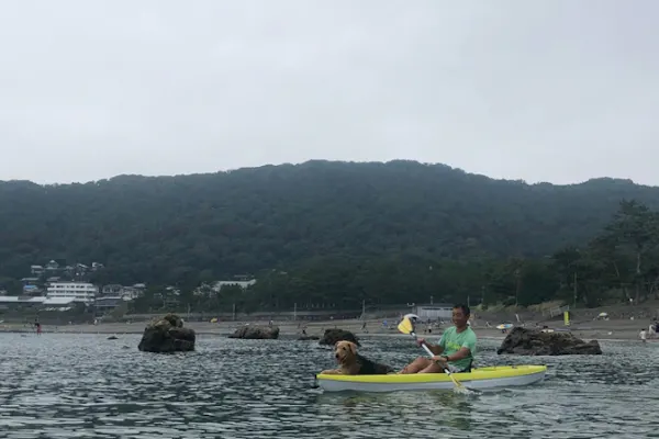 神奈川・葉山・シーカヤック】一色海岸をクルージング！シットオン 
