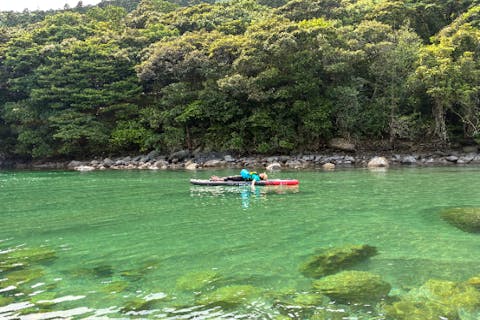 【屋久島・宮之浦・SUP】すきま時間で大自然を満喫！宮之浦川カヤック・SUP