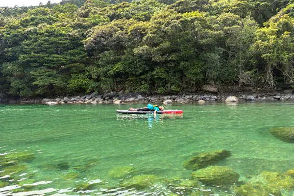 屋久島・宮之浦・SUP】すきま時間で大自然を満喫！宮之浦川カヤック