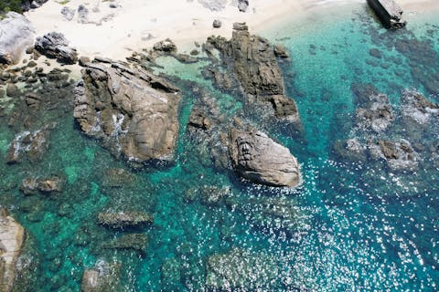 【鹿児島・屋久島・シュノーケリング】海とお魚に癒される！完全貸切シュノーケリング