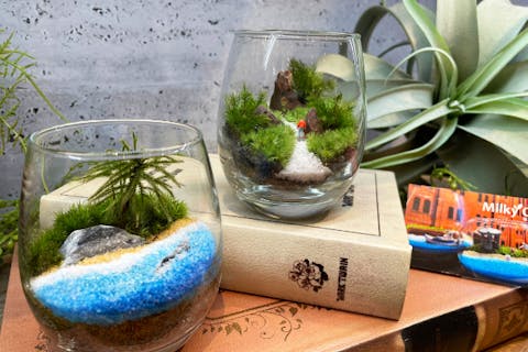 【横浜・赤レンガ倉庫店】〈60minコース〉初めての方におすすめ！2種類の苔を使いテラリウムを作るコース