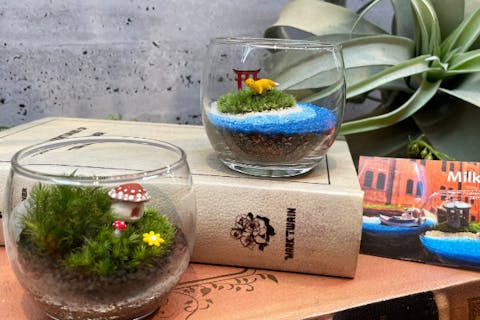 【横浜・赤レンガ倉庫店】〈キッズコース〉2種類の苔を使い、苔テラリウムを作るお子様限定コース
