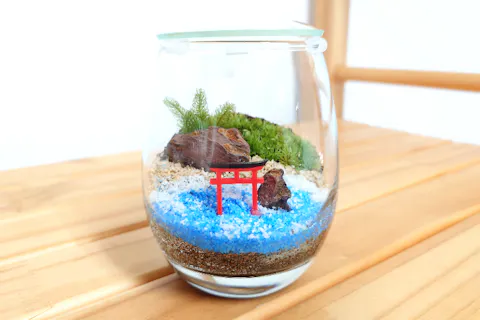 苔テラリウム　60分コース　デザイン指定　～作る楽しさと、完成する喜びを～