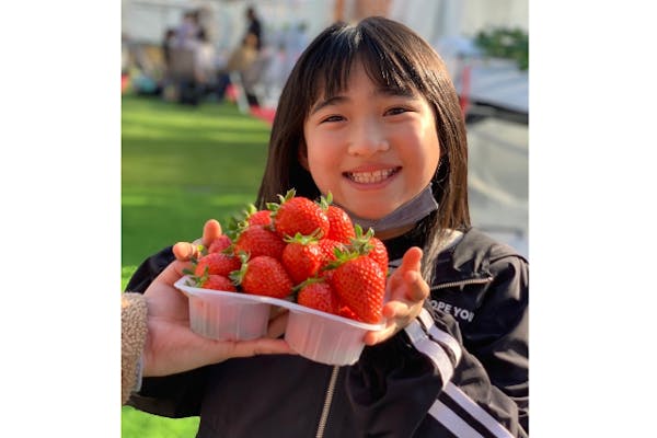 岐阜・瑞穂市・いちご狩り】3品種のいちごが45分食べ放題