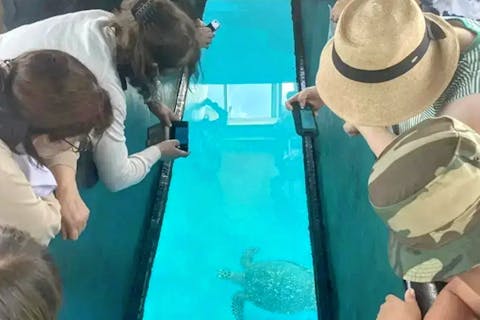 【石垣島】 当日予約OK！無料駐車場付き＋川平湾グラスボート乗船券★最大23％OFF♪ 安心の船酔いしずらい安定感抜群の大型船・見やすい大画面ガラス★手ぶら＆普段着OK！