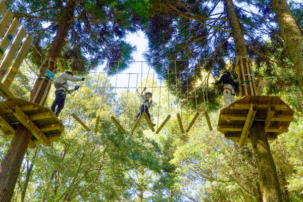 佐賀・吉野ヶ里・フォレストアドベンチャー】キャノピーコース 110cm