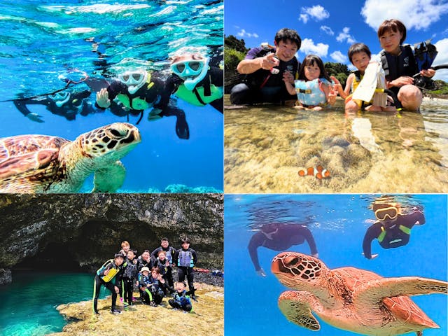 SHISHI石垣島（シシイシガキジマ）