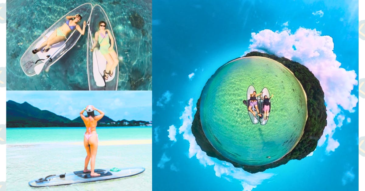 SHISHI石垣島（シシイシガキジマ）