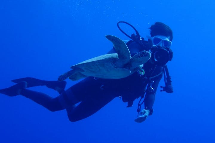 N2ダイビングサービス