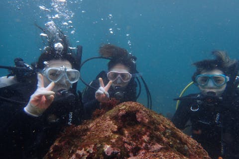 【神奈川・城ヶ島・体験ダイビング】東京からのアクセス抜群！体験ダイビングプラン
