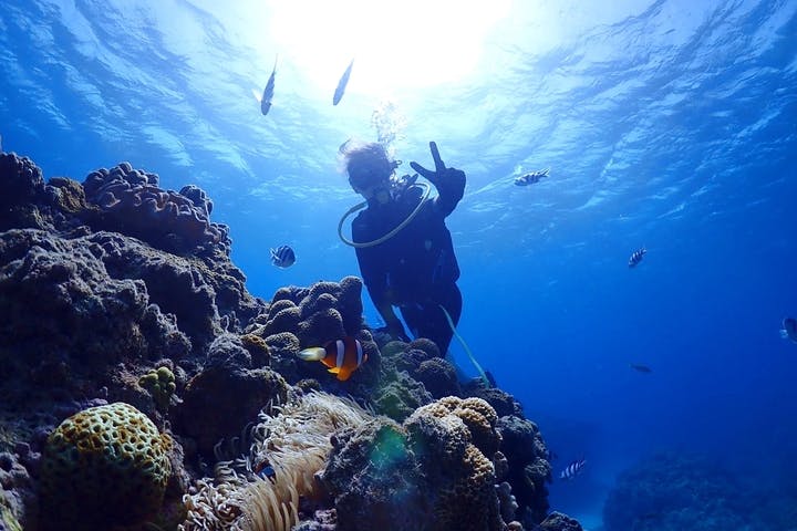 沖縄ダイビングショップ　シェルシー