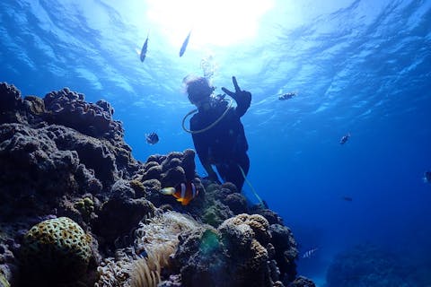 【沖縄・宜野湾】直前予約OK！ニモとサンゴだらけの体験ダイビングプラン♪（午前・午後）乗船料込／動画・写真撮影付／女性・ファミリー・カップルにおススメ！1ダイブ