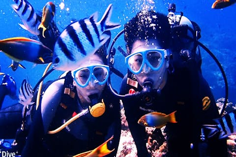 【沖縄・那覇】当日予約OK！／空いてる時間でさくっと体験ダイビング／ビーチ開催 1ダイブ