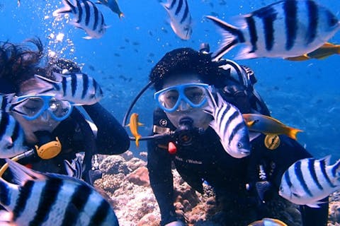 【沖縄・チービシ諸島（ナガンヌ島・神山島）】直前予約OK！体験ダイビングプラン♪（午前・午後）乗船料込／動画・写真撮影付／女性・ファミリー・カップルにおススメ（2ダイブ）