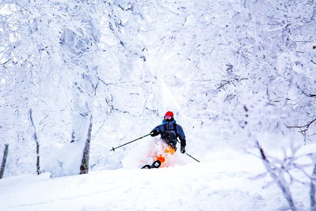 【秋田・森吉山・バックカントリー】深雪と樹氷の間を滑る！スキー・スノーボード経験者向け・森吉山1日ツアー