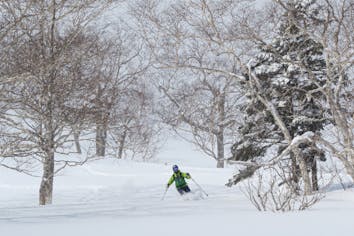 秋田・バックカントリー】初級コース！！バックカントリーツアー