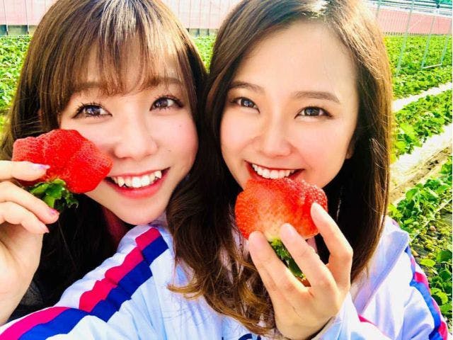 いちごファームきらら